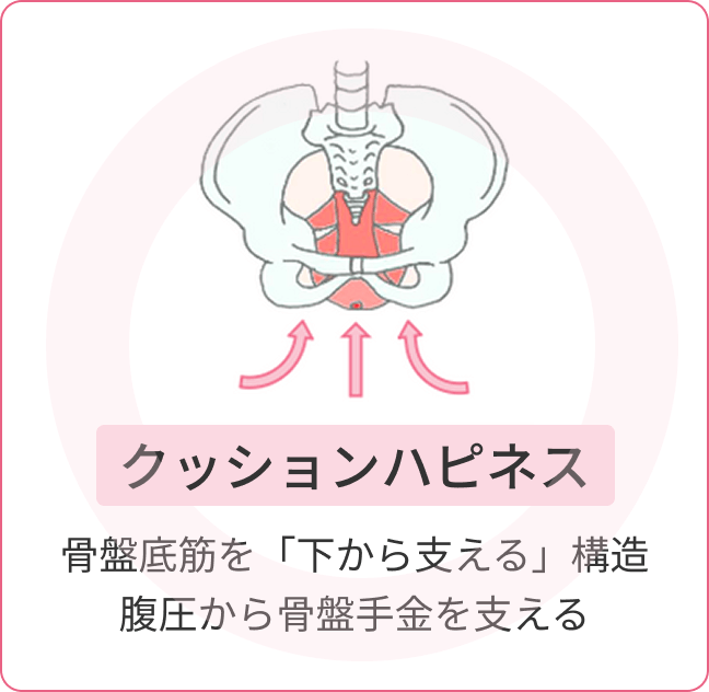 フェミクッションハピネス