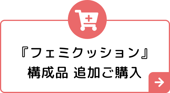 『フェミクッション』構成品 追加ご購入